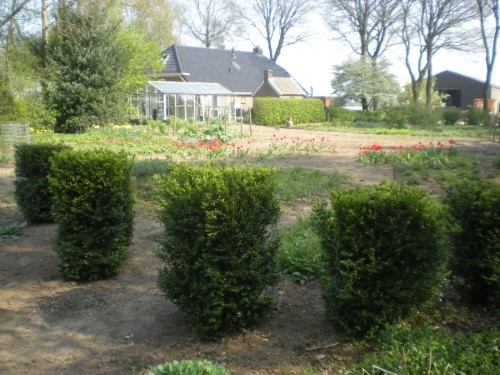 Zicht op het midden-en benedenlichaam, voorjaar 2011 (klik voor vergroting)