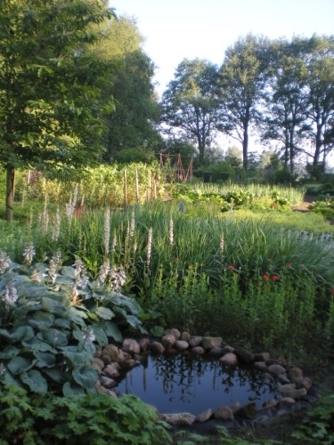 Zicht op de tuin (klik voor vergroting)