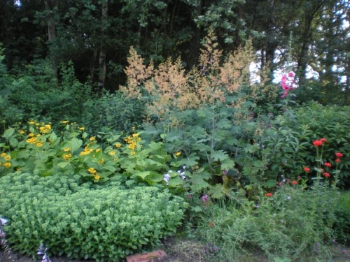 Zomer 2011 (klik voor vergroting)