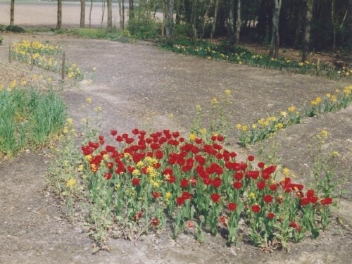 Het tuinlichaam, voorjaar 2005 (klik voor vergroting)